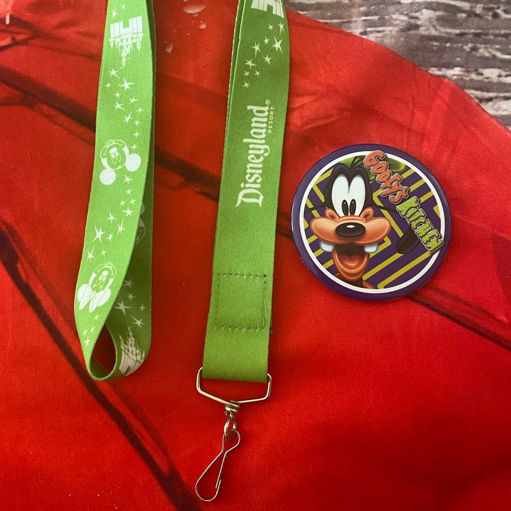 Disneyland Lanyard and Button
